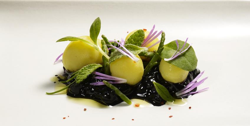 5 Best restaurants in San Francisco COI (Copy)