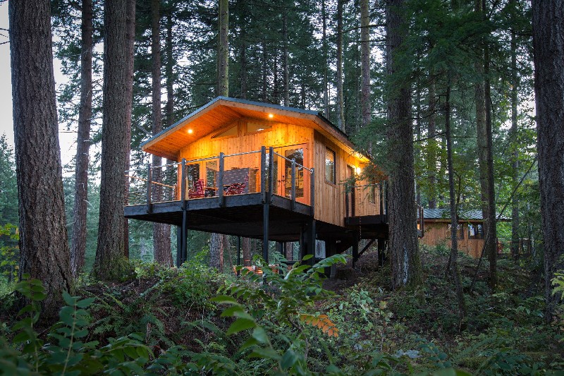 Take A Look At These 7 Eco-Friendly Luxury Treehouses Around The World