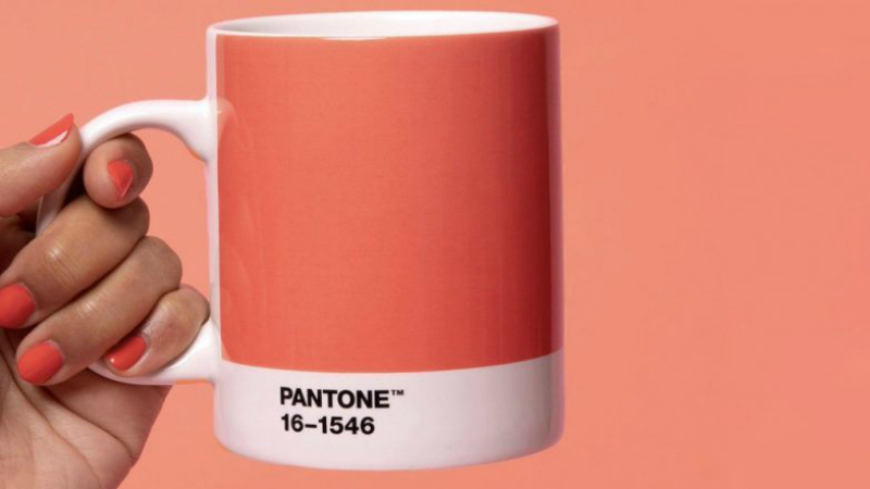Pantone Just Revealed Living Coral As The Colour of The Year 2019